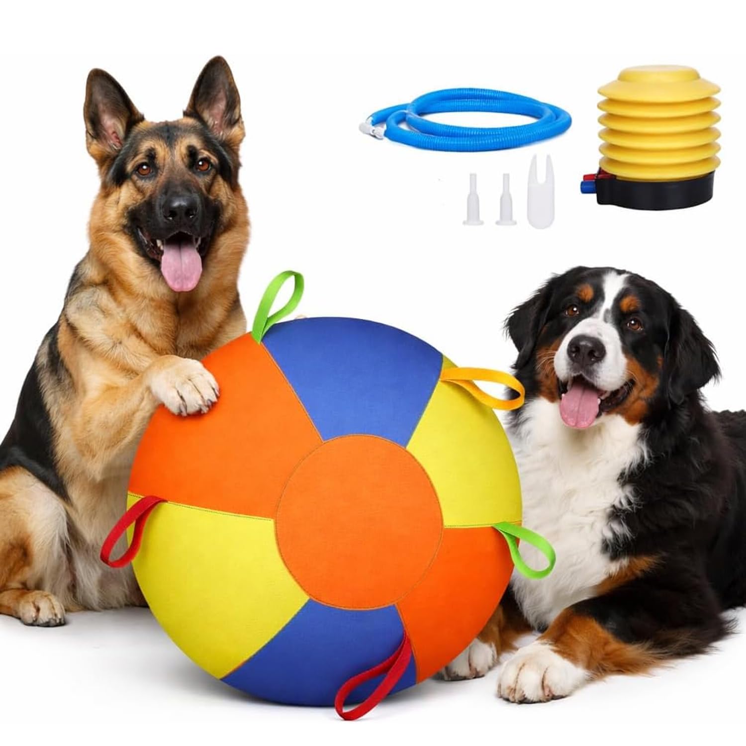 Pet Supplies Collection