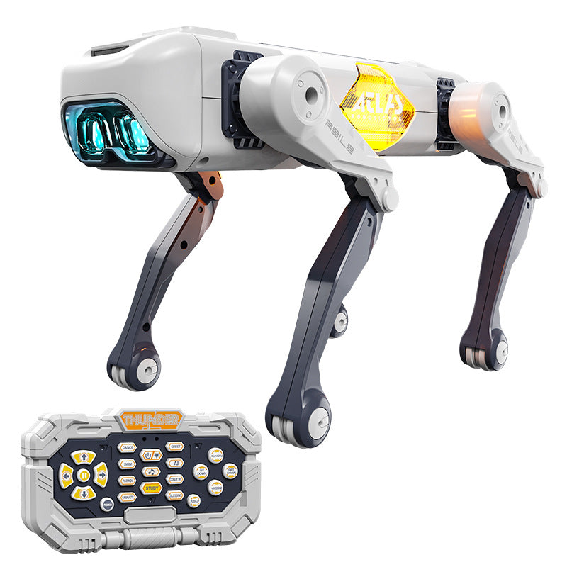 309975085-1